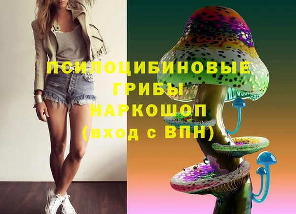 прущая мука Надым